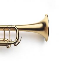 Bb Trompet Van Laar BR2 gold plated