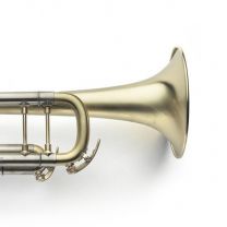 Bb Trompet Van Laar Bob Findley raw brass
